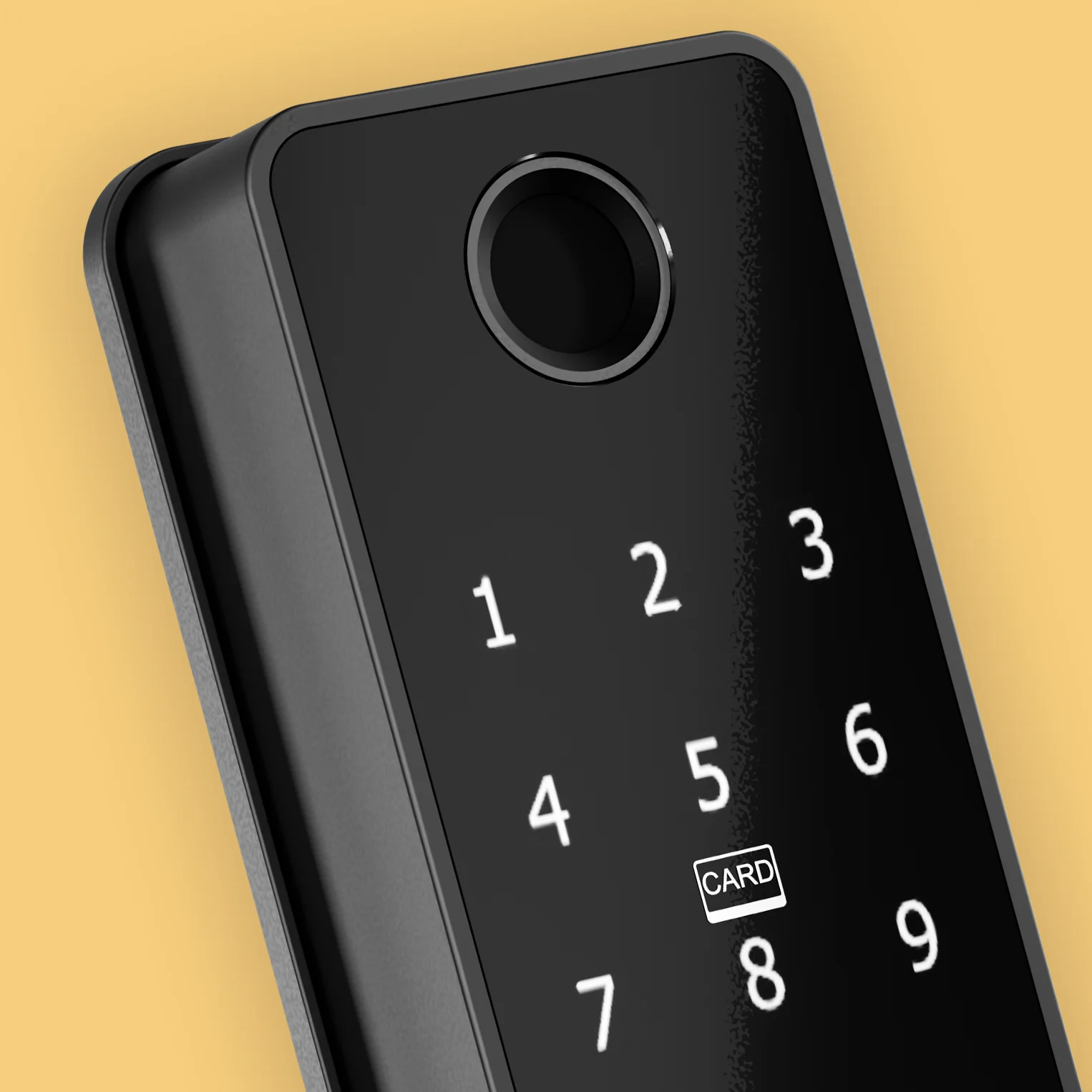Smart Lock Fingerprint in a home setting
